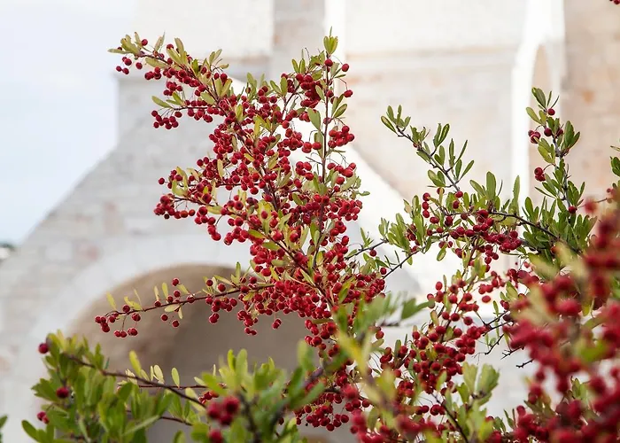 Hotel Ottolire Locorotondo